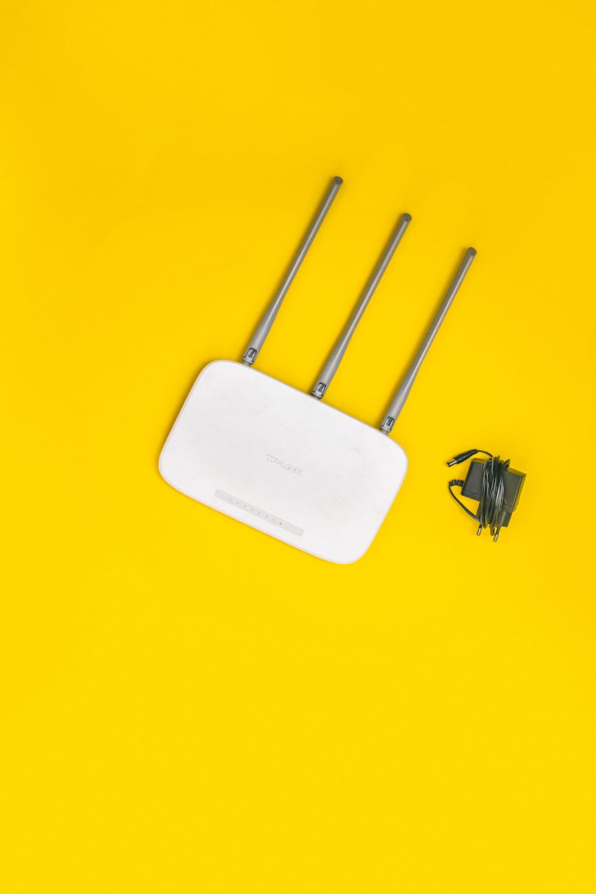 Risks Posed by Internet Routers